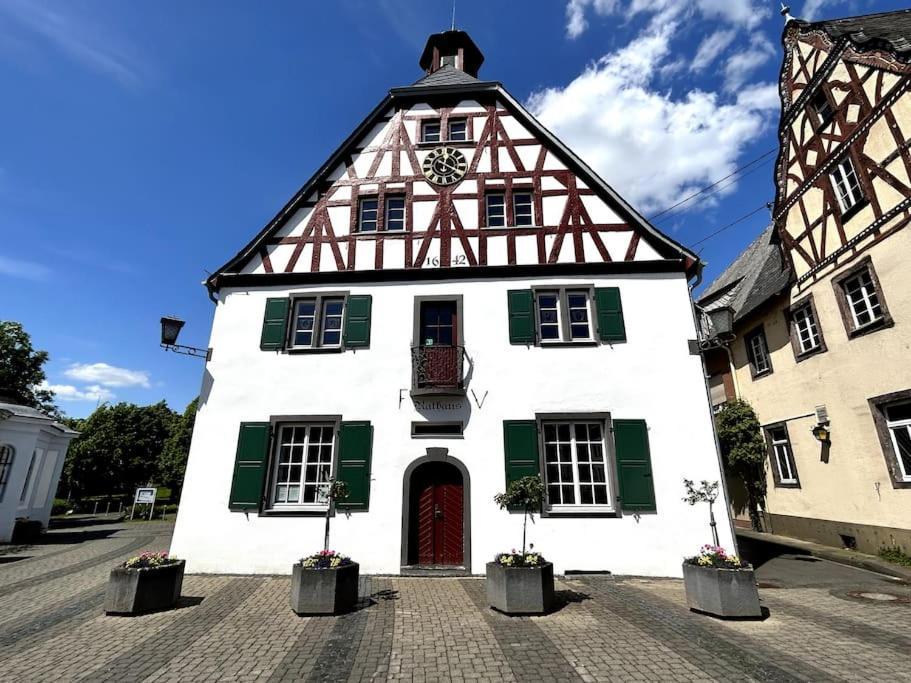 Tiny With Spacious Terrace On The Rhine Neuwied