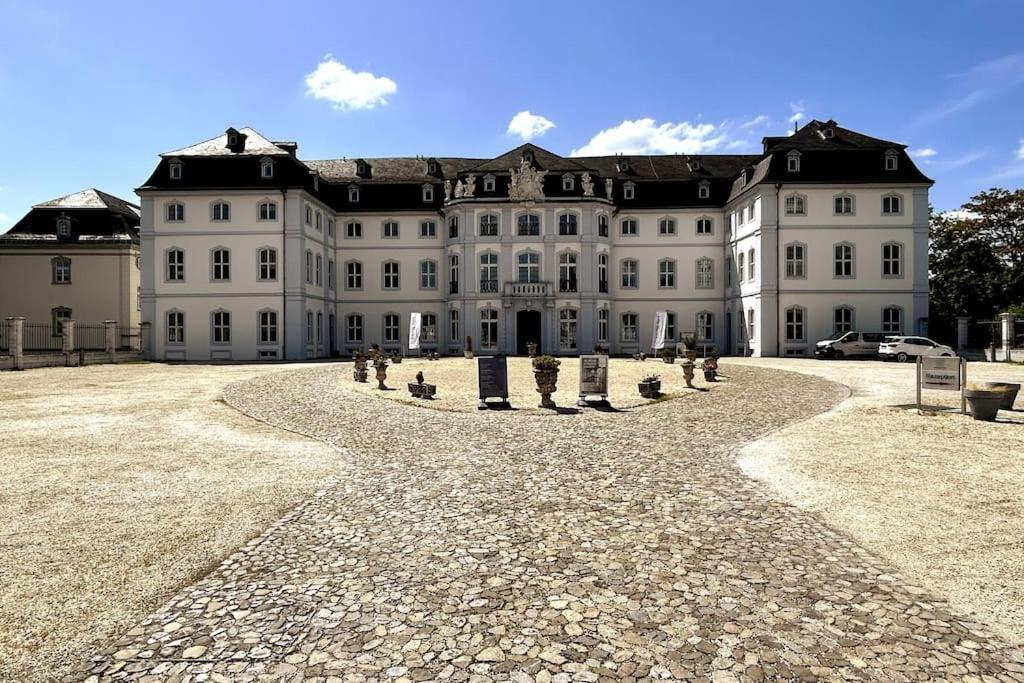 Tiny With Spacious Terrace On The Rhine